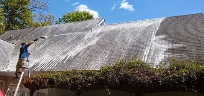 Roof Cleaning